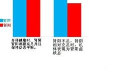 Understanding Kidney Yang Deficiency: Differentiation and Treatment in Traditional Chinese Medicine