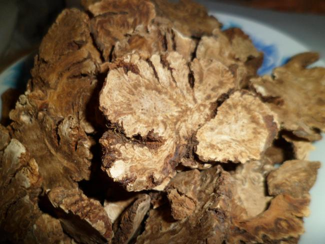 Weekly Herb: Chuan Xiong (Ligusticum Chuanxiong)