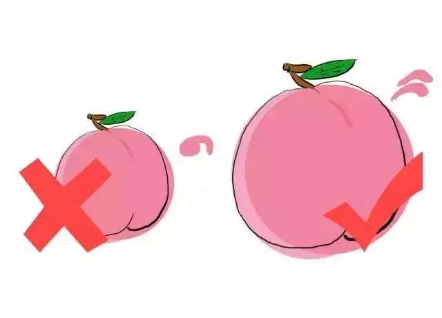 Fruits Classified by Cold and Heat: Eating According to Body Constitution