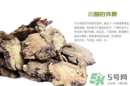 The Efficacy and Therapeutic Uses of Chuanxiong (Ligusticum chuanxiong)