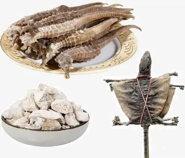 Understanding Kidney Yin and Yang Deficiency: Symptoms and 15 Commonly Used TCM Formulas