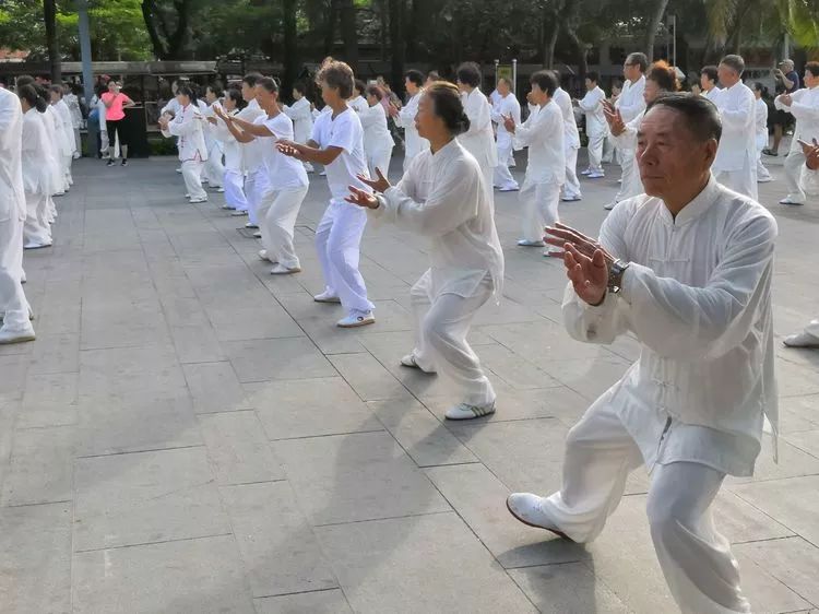 Learning Tai Chi: How to Avoid Taking the Long Way?