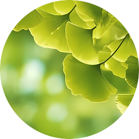Understanding Yin Deficiency and Excess Heat in Traditional Chinese Medicine