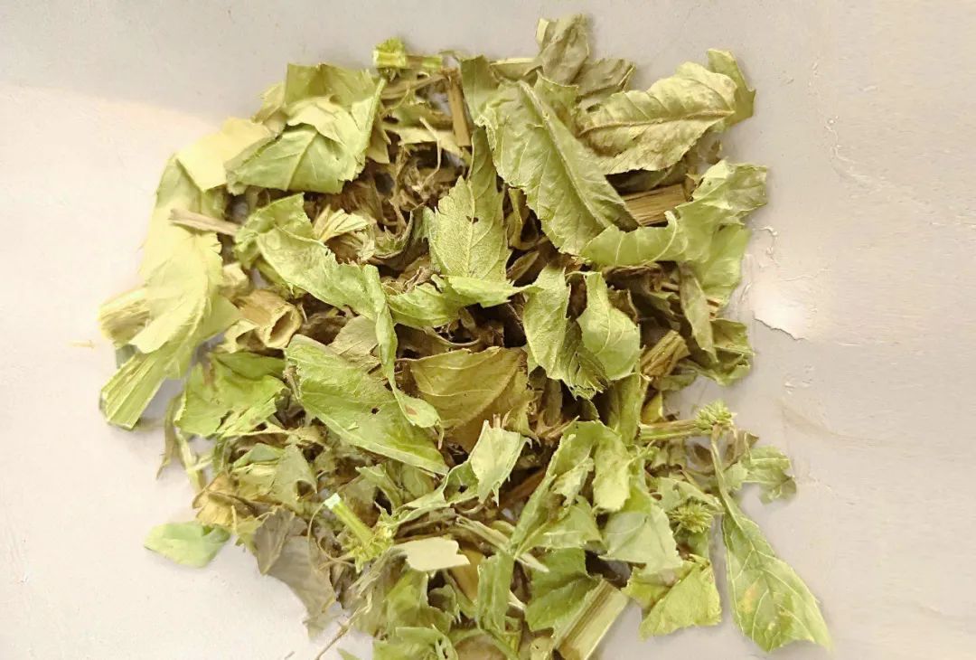 Five Blood-Invigorating Herbs: The "Holy Medicines" for Blood Stasis and Regulation of Blood Stasis Constitution