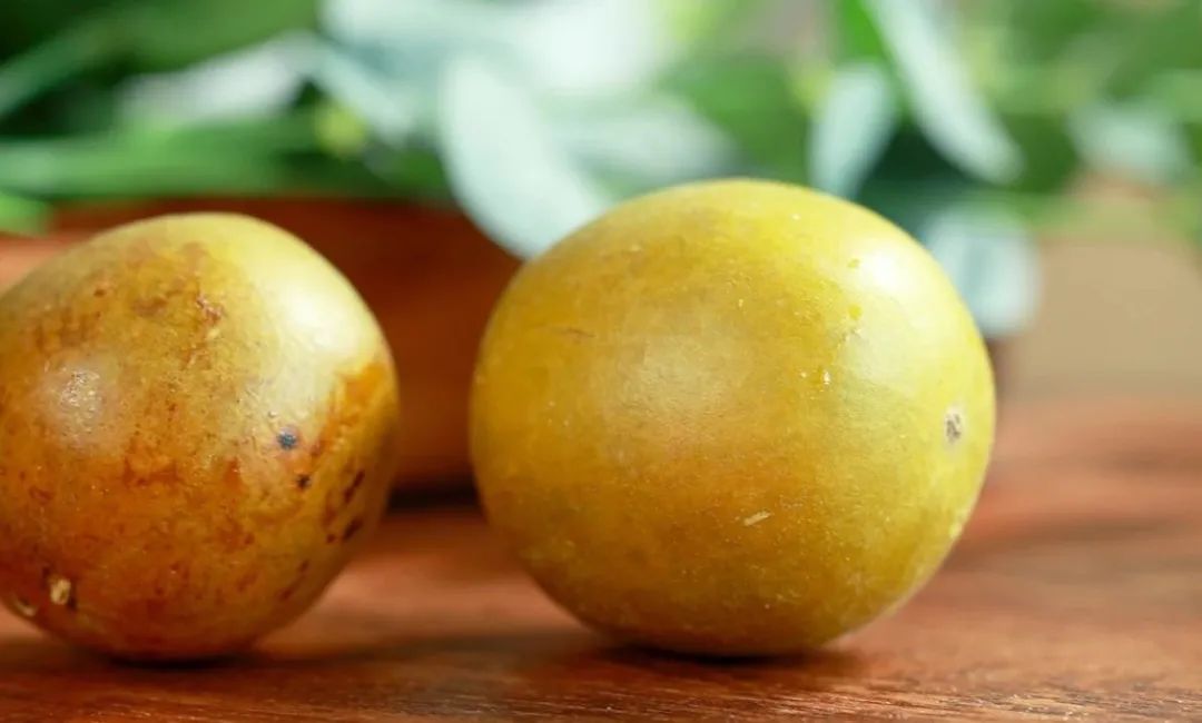 Dang Shen: The "Little Ginseng" for Nourishing Qi and Blood