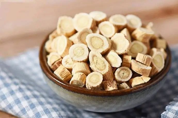 The Top Benefits of Astragalus: Pairing It for Disease Prevention!