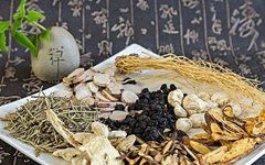 Understanding the Dual Release Formula in Traditional Chinese Medicine