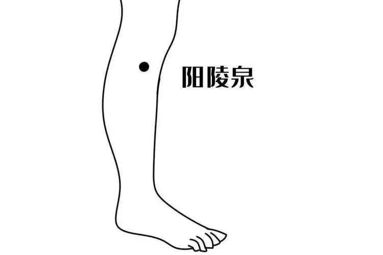 The 12 Essential Acupuncture Points for Treating Various Ailments!