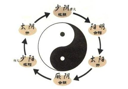 An Analysis of the Classic Text 'Shang Han Lun'