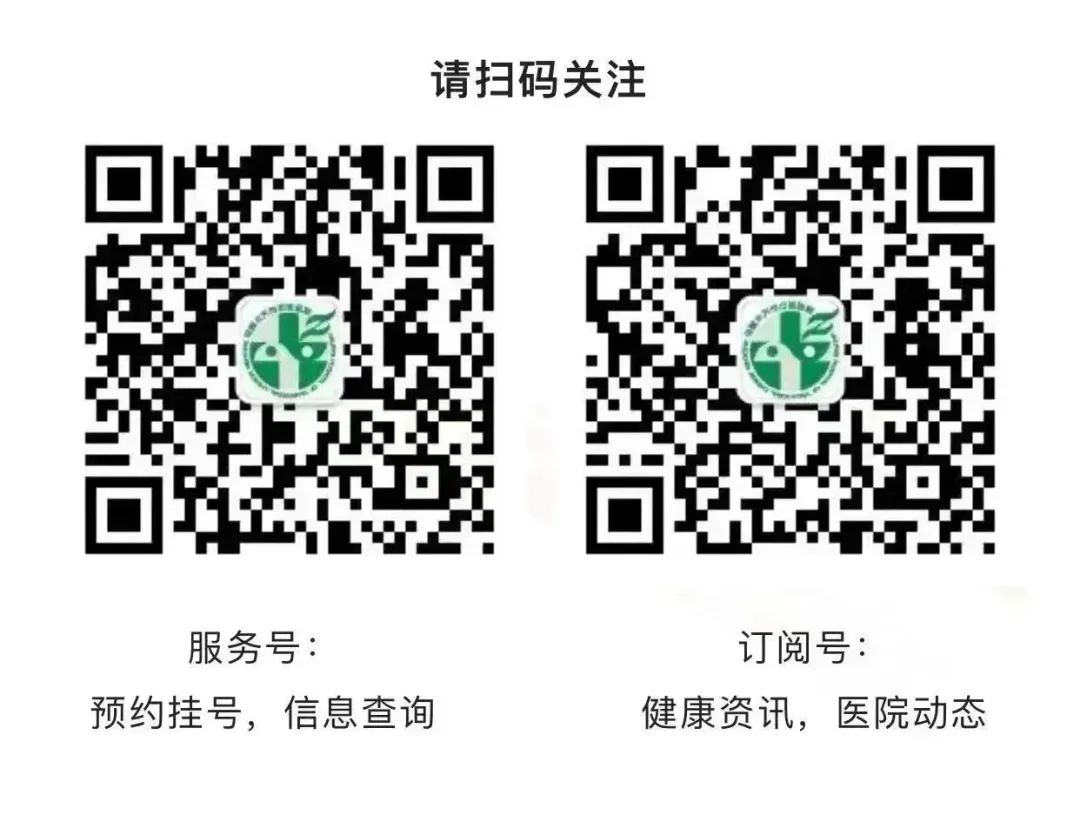 Radix Codonopsis (Dang Shen): Strengthening the Spleen and Lung, Nourishing Blood and Generating Fluids