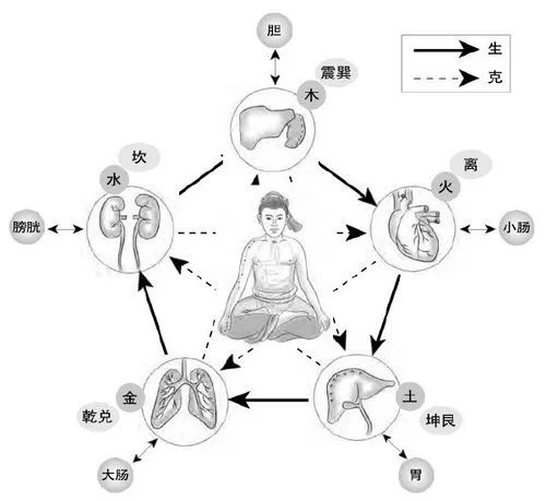 The Five Elements: Human Follows Earth, Earth Follows Heaven, Heaven Follows Dao, Dao Follows Nature
