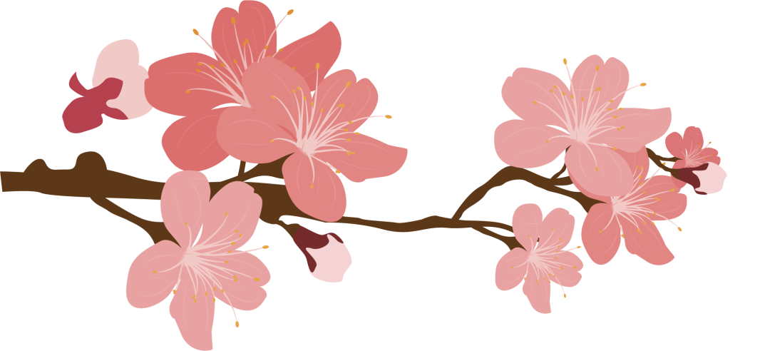 Common Health Preservation Methods in Traditional Chinese Medicine