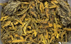 Discussion on Clearing Heat and Drying Dampness: Purging Fire and Detoxifying
