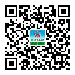 Cultivation of Traditional Chinese Medicinal Herb - Cang Zhu (Atractylodes)
