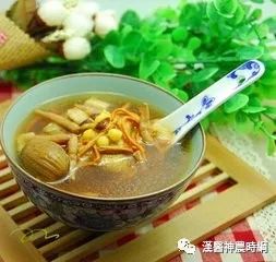 An Overview of Medicinal Cuisine
