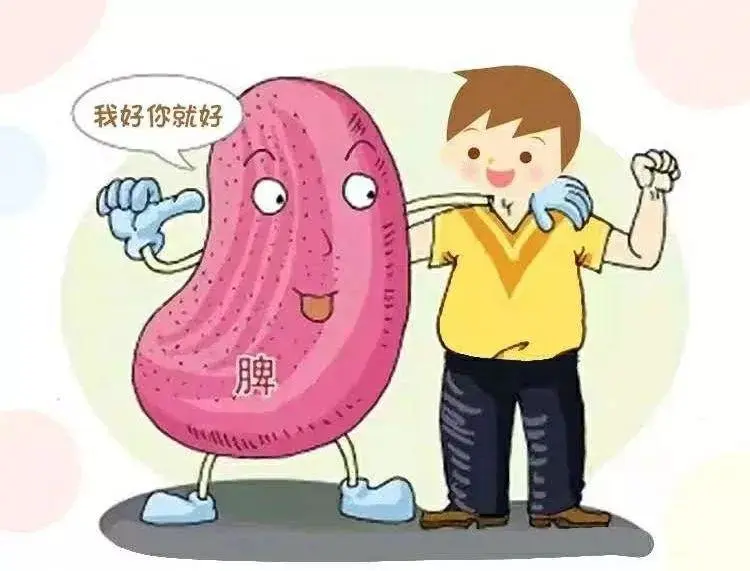 Four Major Qi-Boosting Traditional Chinese Medicine Formulas for Heart, Spleen, Lung, and Kidney Qi to Energize You All Year Round