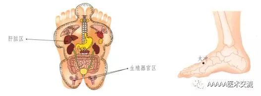 Gua Sha Lesson 21: Sexual Health Care