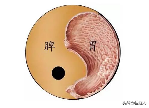 What Symptoms Indicate Spleen and Stomach Yang Deficiency? Check If You Have These Feelings!