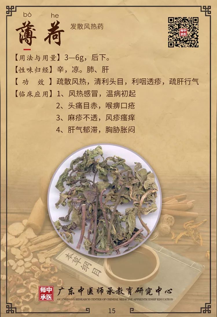 Traditional Chinese Medicine Insights: Differentiating Between Wind-Cold and Wind-Heat in Common Colds
