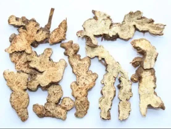 Weekly Herb Spotlight: Cang Zhu (Atractylodes)