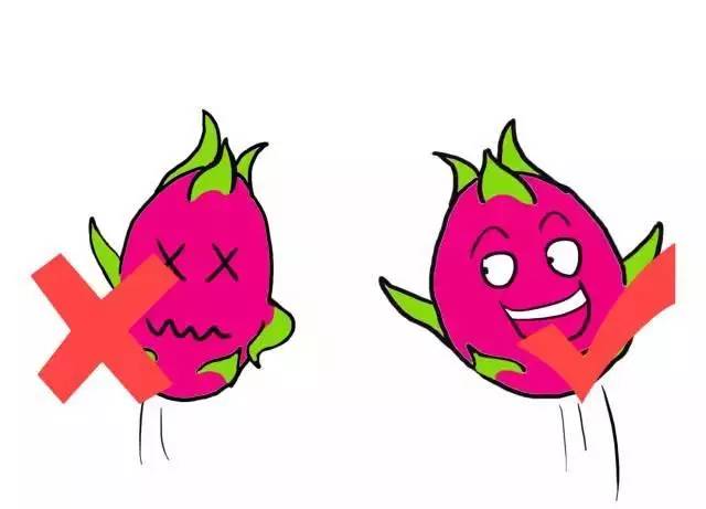 Understanding Fruits in TCM: Choosing the Right Ones for Your Constitution