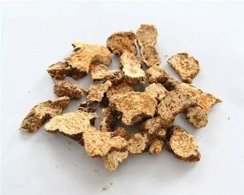 An Ancient Formula: Cang Zhu Bai Hu Wan!