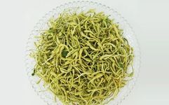 The Efficacy and Functions of Honeysuckle: What Should Not Be Eaten Together with Honeysuckle