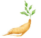 Ginseng: Benefits and Precautions for Use
