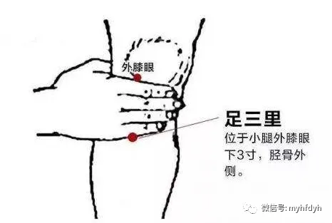 Nine Effective Remedies for Improving Spleen and Stomach Yang Deficiency