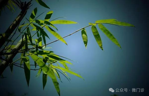 Traditional Chinese Medicine's Effective Formula for Treating Spleen and Stomach Yang Deficiency!