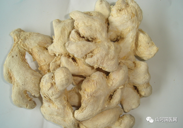 Traditional Chinese Medicine: Dried Ginger
