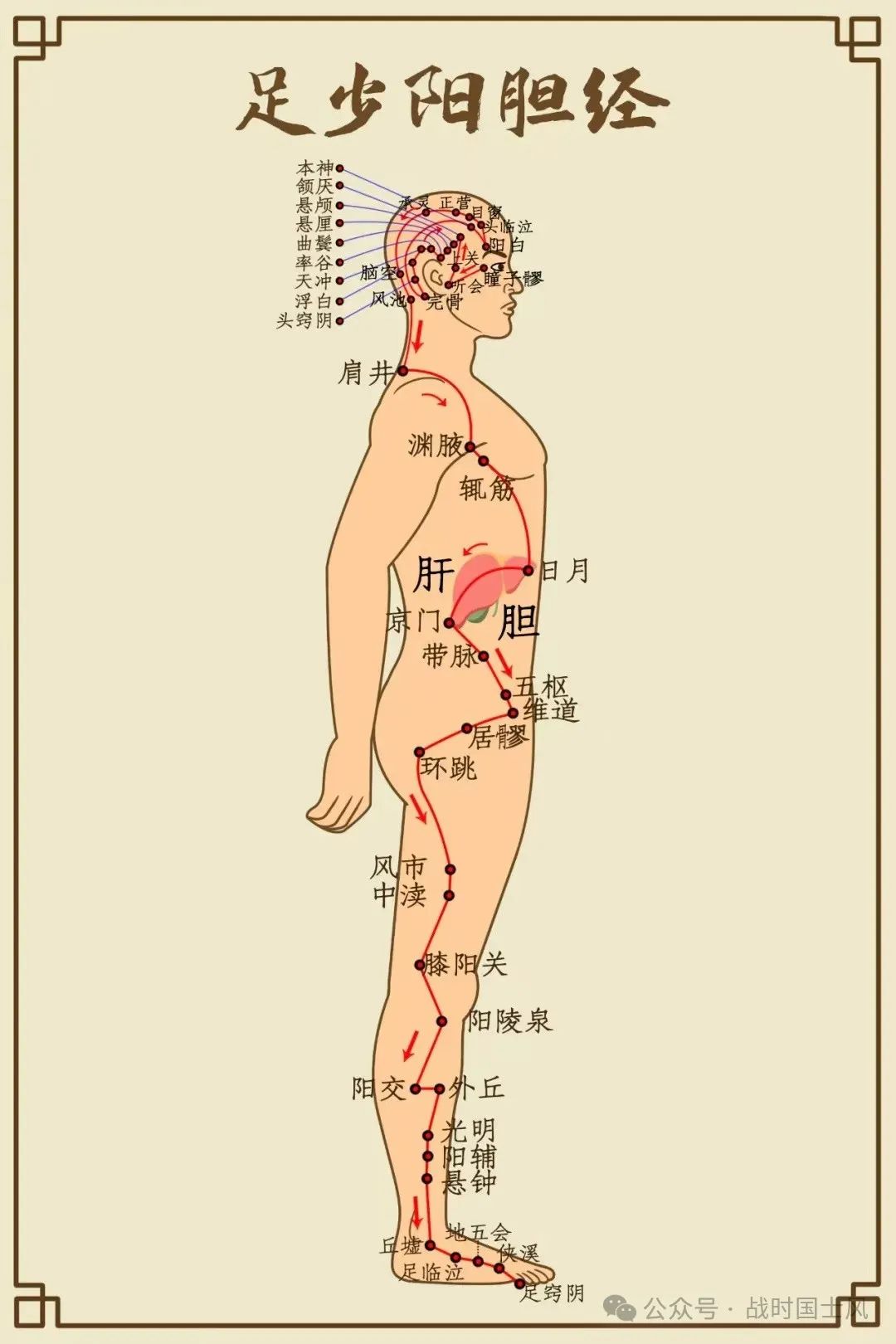 Acupuncture Points for Liver Qi Stagnation