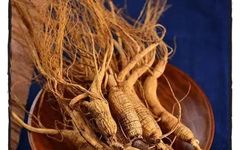 Ginseng: A Comprehensive Overview in Traditional Chinese Medicine