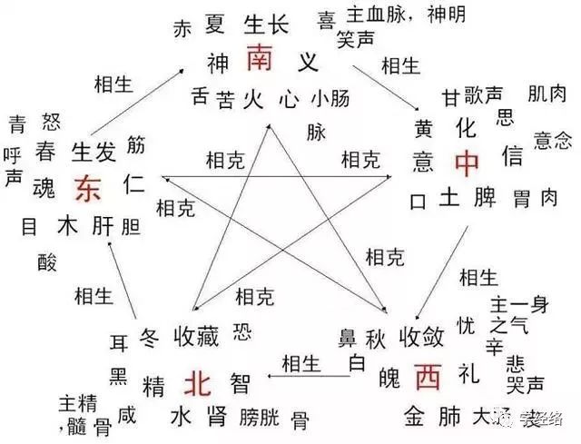 Preventing Liver and Spleen Diseases: TCM Teaches You the Interactions of the Five Elements and Organs