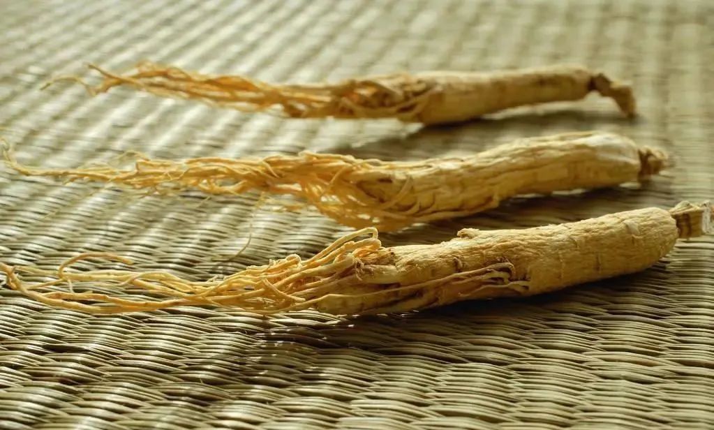 Five Recommended Methods to Consume Ginseng for Vitality and Health