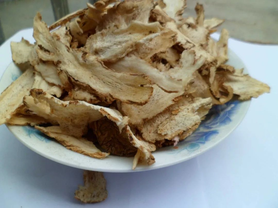 Angelica Sinensis: A Sacred Herb for Women's Health
