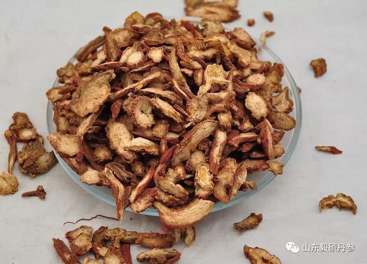 The Reasons Why Danshen (Salvia miltiorrhiza) is Considered the King of Herbs Worldwide!