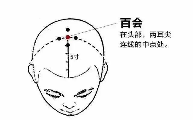 Comprehensive Guide to 35 Common Acupuncture Points: Locations and Effects with Detailed Diagrams