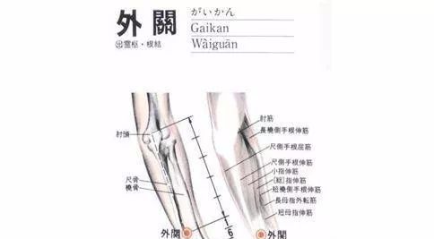 50 Common Acupuncture Points for Treating Various Ailments