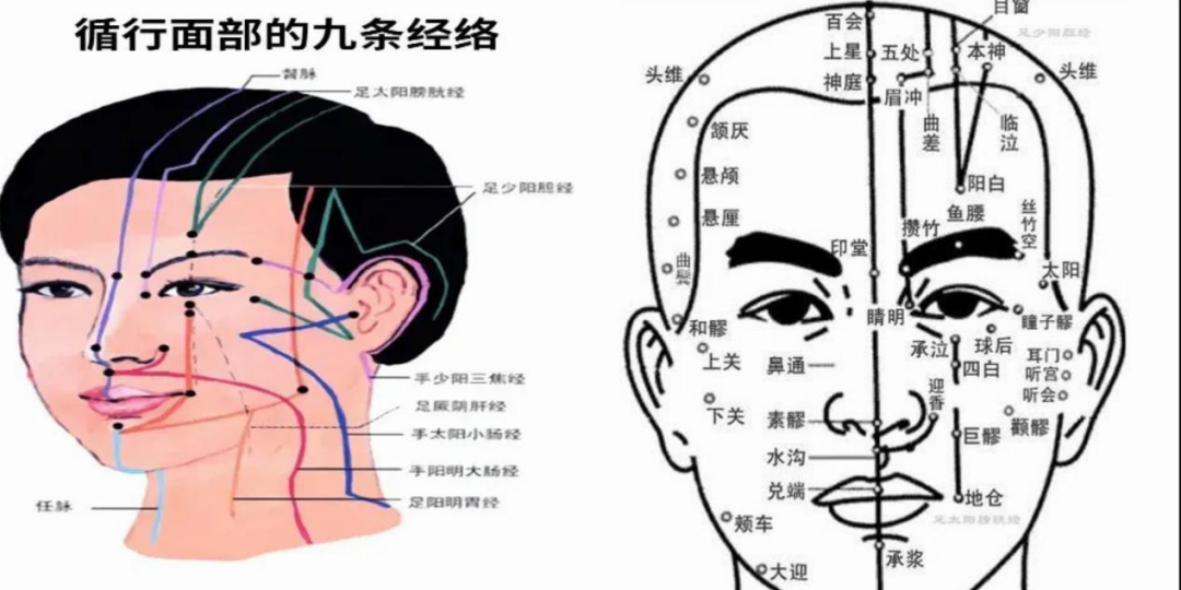 The Secret Techniques of Facial Rejuvenation in Traditional Chinese Medicine