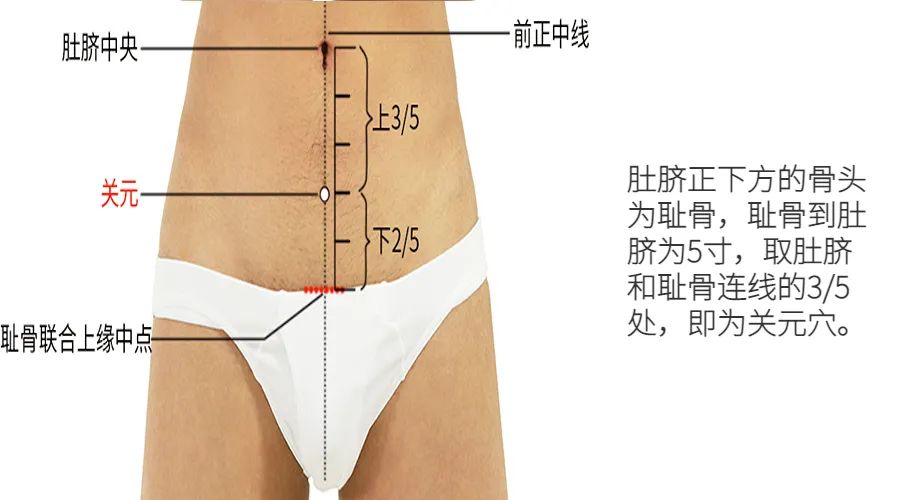 Warming Yang: The Primary Acupoint for Warming Meridians and Treating Cold Extremities, Joint Cold, and Cold in the Lower Back and Legs, Essential for Winter