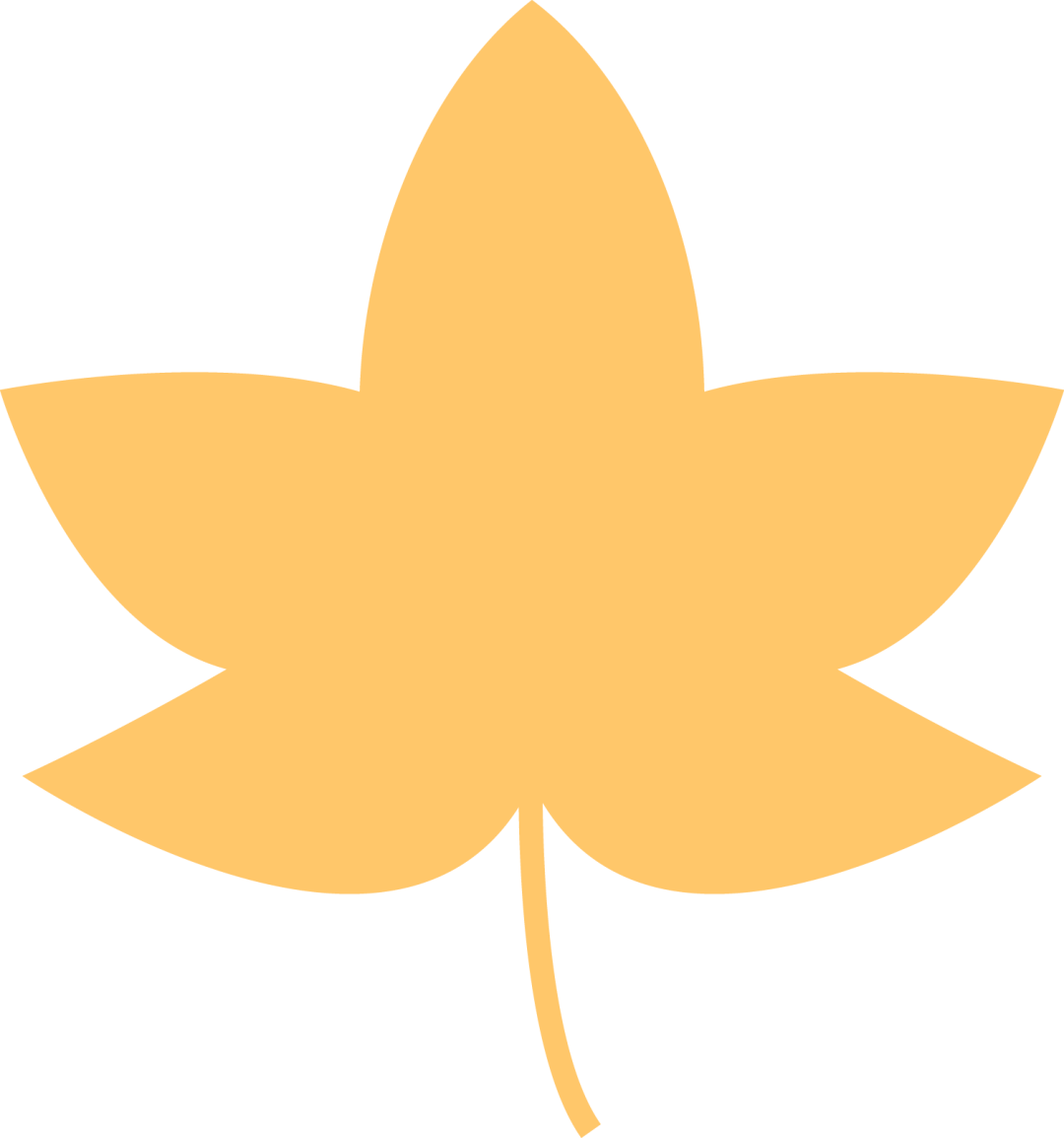 Job's Tears: A Small Seed with Great Benefits for Spleen Health, Dampness Relief, and Heat Clearance