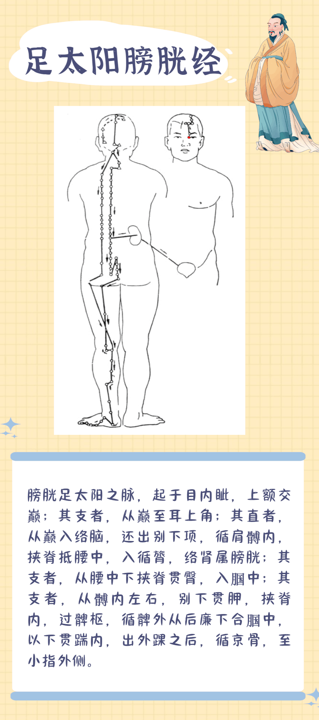 Illustration of the Twelve Meridians: A Worthy Focus