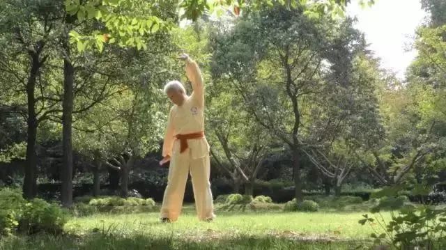 Simple and Easy to Learn! Illustrated Guide to the Twelve Movements of the Ancient Yi Jin Jing (Includes Video)