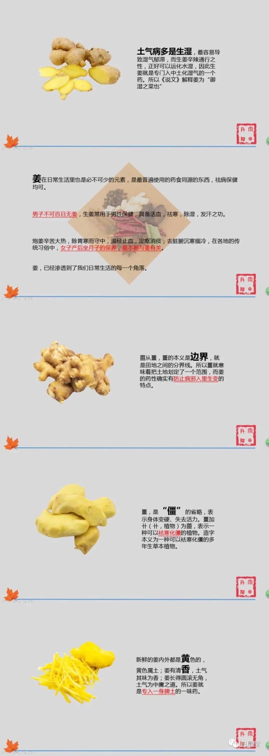 Ginger (Gan Jiang): A Comprehensive Overview of Its Properties and Uses in Traditional Chinese Medicine
