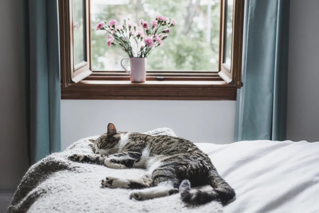 Spring Equinox: Achieving Yin-Yang Balance for Health