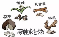 The Ancient Formula for Eliminating Dampness—Ling Gui Zhu Gan Decoction
