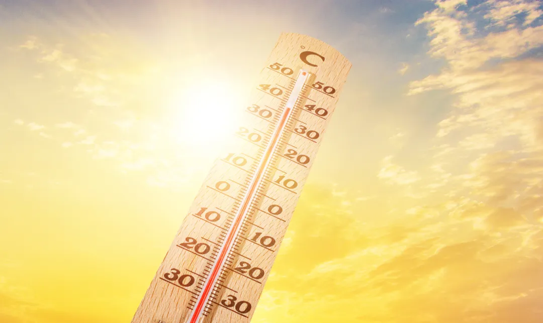 Understanding Phlegm-Dampness in Traditional Chinese Medicine