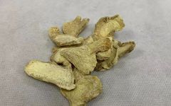Daily Herb: Dried Ginger (Pao Jiang)