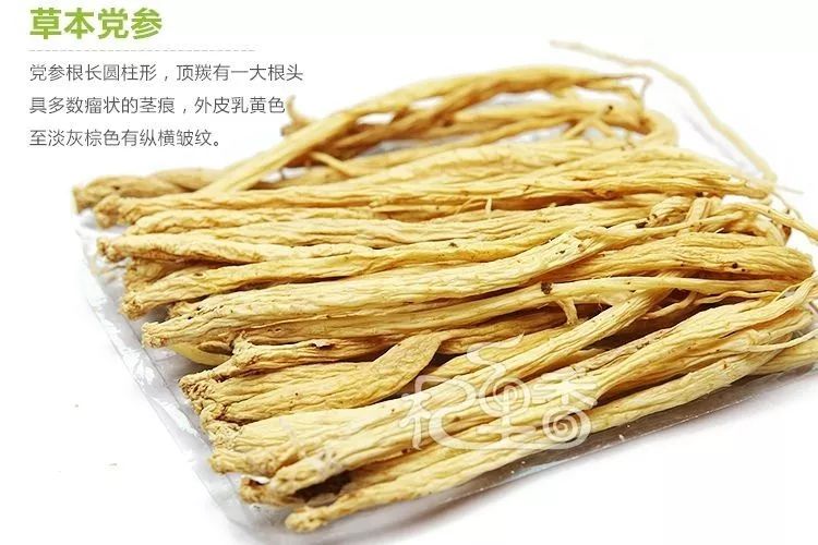 Differences Among Ginseng, Danshen, Codonopsis, American Ginseng, and More: Effects and Usage Explained